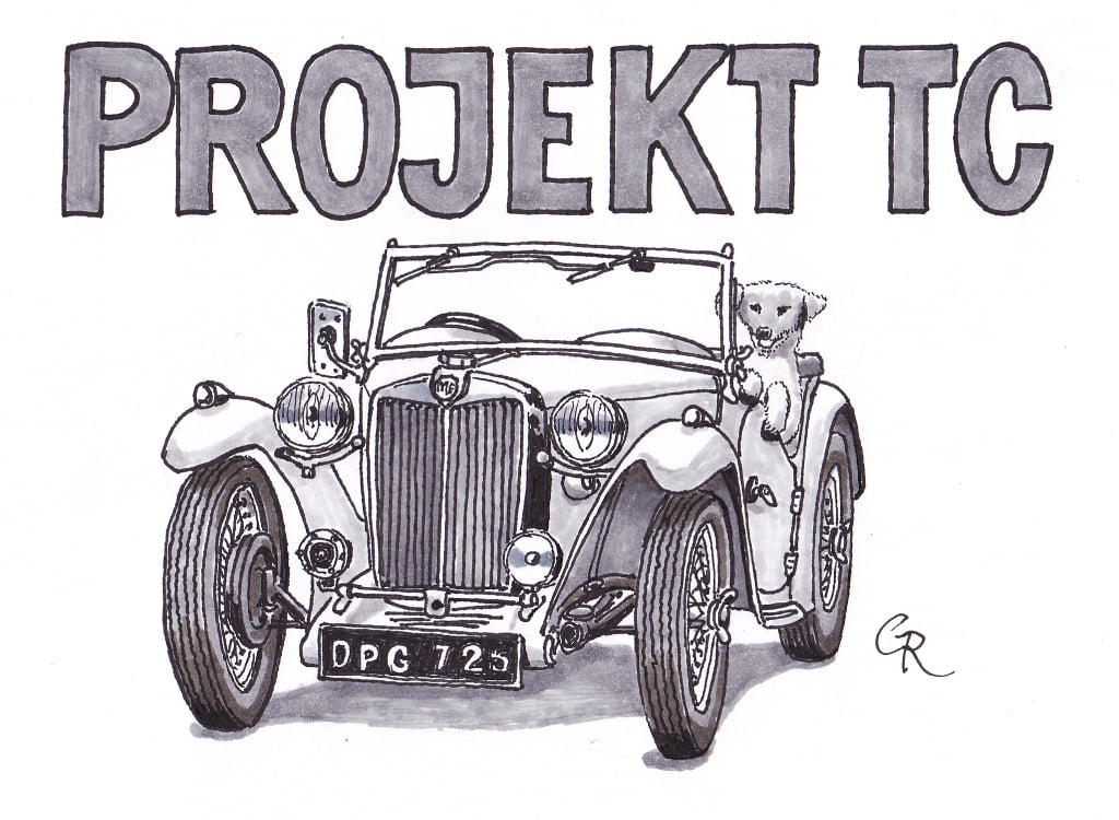 Projekt TC Logo
